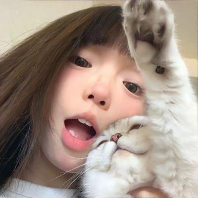 幼狮王朝